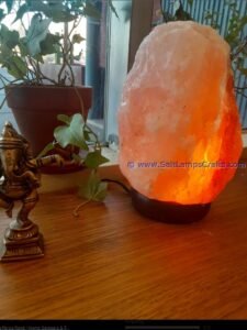 himalayanpinksaltlamp2025kgnaturalcrystalrockshapepremiumqualitynighlampstrendyhomedecoruniquegiftideasauthenticfrompakistan08 Salt Lamps Crafts Manufacture and Exporter