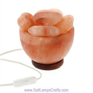 himalayanpinksaltlampsfirebowlwithnaturalcrystalsaltheartsmassgestonespremiumqualitynighlampstrendyhomedecoruniquegiftideasauthenticfrompakistan13 Salt Lamps Crafts Manufacture and Exporter