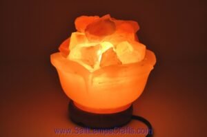 himalayanpinksaltlampsflowerdesignfirebowlwithnaturalcrystalsaltchunkspremiumqualitynighlampstrendyhomedecoruniquegiftideasauthenticfrompakistan01 Salt Lamps Crafts Manufacture and Exporter