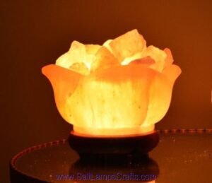 himalayanpinksaltlampsflowerdesignfirebowlwithnaturalcrystalsaltchunkspremiumqualitynighlampstrendyhomedecoruniquegiftideasauthenticfrompakistan04 Salt Lamps Crafts Manufacture and Exporter