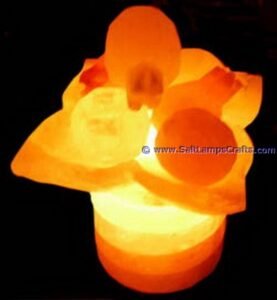 OLYMPUS DIGITAL CAMERA Salt Lamps Crafts Manufacture and Exporter