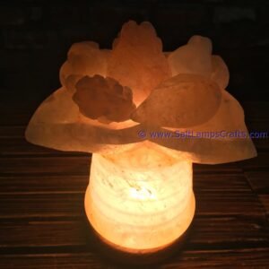 himalayanpinksaltlampsfruitfirebowlwithnaturalcrystalsaltchunkspremiumqualitynighlampstrendyhomedecoruniquegiftideasauthenticfrompakistan02 Salt Lamps Crafts Manufacture and Exporter