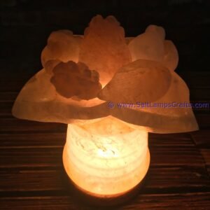 himalayanpinksaltlampsfruitfirebowlwithnaturalcrystalsaltchunkspremiumqualitynighlampstrendyhomedecoruniquegiftideasauthenticfrompakistan04 Salt Lamps Crafts Manufacture and Exporter