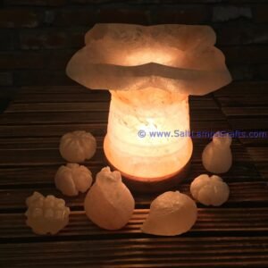 himalayanpinksaltlampsfruitfirebowlwithnaturalcrystalsaltchunkspremiumqualitynighlampstrendyhomedecoruniquegiftideasauthenticfrompakistan05 Salt Lamps Crafts Manufacture and Exporter