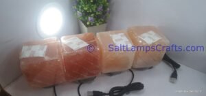 16699234838005454400217542416783786219763854n Salt Lamps Crafts Manufacture and Exporter