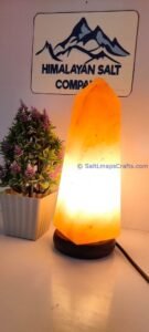 2000782164007212959355000195709952357918451n Salt Lamps Crafts Manufacture and Exporter