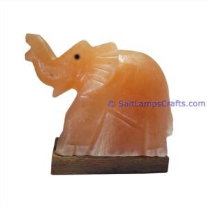 ElephantSaltLamp Salt Lamps Crafts Manufacture and Exporter