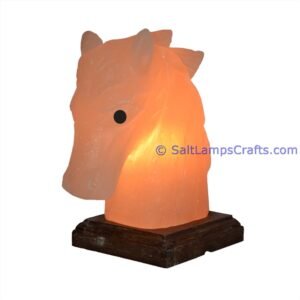 HorseHeadSaltLamp Salt Lamps Crafts Manufacture and Exporter