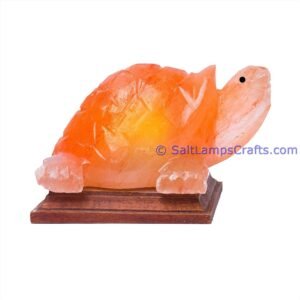 TurtleShapeSaltLamp Salt Lamps Crafts Manufacture and Exporter