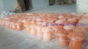 himalayancraftedmushroomlampfactoryview Salt Lamps Crafts Manufacture and Exporter
