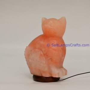 himalayanpinkrocksaltcatanimalslampsnightlightdesklampsidetablesaltlampshomeofficedecorsaltlightauthenticpakistan02 Salt Lamps Crafts Manufacture and Exporter
