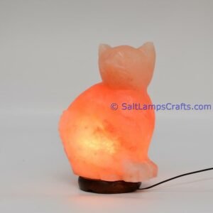 himalayanpinkrocksaltcatanimalslampsnightlightdesklampsidetablesaltlampshomeofficedecorsaltlightauthenticpakistan03 Salt Lamps Crafts Manufacture and Exporter