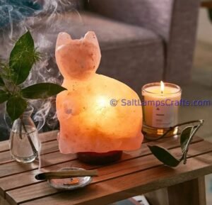 himalayanpinkrocksaltcatanimalslampsnightlightdesklampsidetablesaltlampshomeofficedecorsaltlightauthenticpakistan04 Salt Lamps Crafts Manufacture and Exporter