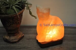 himalayanpinkrocksaltcatanimalslampsnightlightdesklampsidetablesaltlampshomeofficedecorsaltlightauthenticpakistan06 Salt Lamps Crafts Manufacture and Exporter