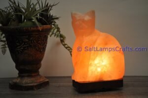 himalayanpinkrocksaltcatanimalslampsnightlightdesklampsidetablesaltlampshomeofficedecorsaltlightauthenticpakistan09 Salt Lamps Crafts Manufacture and Exporter