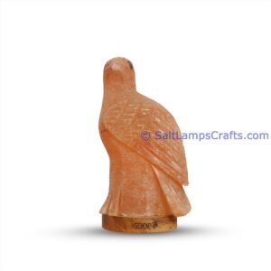 himalayanpinkrocksaltcrowanimalslampsnightlightdesklampsidetablesaltlampshomeofficedecorsaltlightauthenticpakistan06 Salt Lamps Crafts Manufacture and Exporter