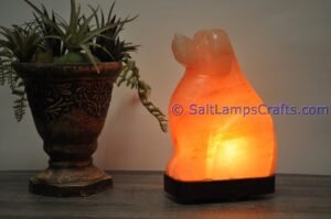 himalayanpinkrocksaltdoganimalslampsnightlightdesklampsidetablesaltlampshomeofficedecorsaltlightauthenticpakistan03 Salt Lamps Crafts Manufacture and Exporter