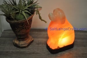 himalayanpinkrocksaltdoganimalslampsnightlightdesklampsidetablesaltlampshomeofficedecorsaltlightauthenticpakistan05 Salt Lamps Crafts Manufacture and Exporter