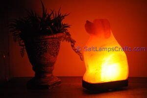 himalayanpinkrocksaltdoganimalslampsnightlightdesklampsidetablesaltlampshomeofficedecorsaltlightauthenticpakistan06 Salt Lamps Crafts Manufacture and Exporter
