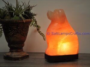 himalayanpinkrocksaltdoganimalslampsnightlightdesklampsidetablesaltlampshomeofficedecorsaltlightauthenticpakistan08 Salt Lamps Crafts Manufacture and Exporter