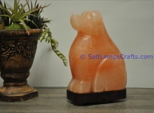 himalayanpinkrocksaltdoganimalslampsnightlightdesklampsidetablesaltlampshomeofficedecorsaltlightauthenticpakistan09 Salt Lamps Crafts Manufacture and Exporter