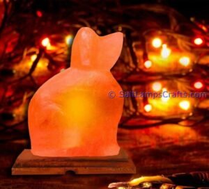himalayanpinkrocksaltdoganimalslampsnightlightdesklampsidetablesaltlampshomeofficedecorsaltlightauthenticpakistan10 Salt Lamps Crafts Manufacture and Exporter