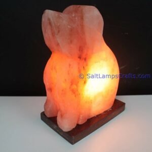 himalayanpinkrocksaltdoganimalslampsnightlightdesklampsidetablesaltlampshomeofficedecorsaltlightauthenticpakistan11 Salt Lamps Crafts Manufacture and Exporter