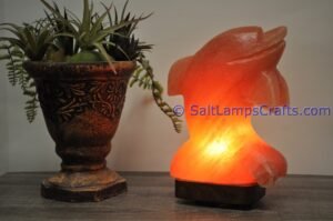 himalayanpinkrocksaltdolphinanimalslampsnightlightdesklampsidetablesaltlampshomeofficedecorsaltlightauthenticpakistan10 Salt Lamps Crafts Manufacture and Exporter