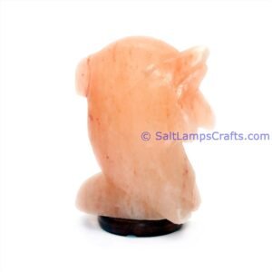 himalayanpinkrocksaltdolphinanimalslampsnightlightdesklampsidetablesaltlampshomeofficedecorsaltlightauthenticpakistan12 Salt Lamps Crafts Manufacture and Exporter