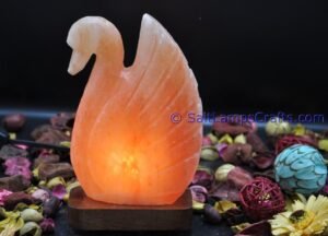 himalayanpinkrocksaltduckswananimalslampsnightlightdesklampsidetablesaltlampshomeofficedecorsaltlightauthenticpakistan06 Salt Lamps Crafts Manufacture and Exporter