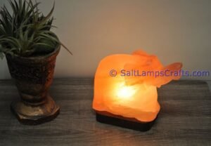 himalayanpinkrocksaltelephantanimalslampsnightlightdesklampsidetablesaltlampshomeofficedecorsaltlightauthenticpakistan05 Salt Lamps Crafts Manufacture and Exporter