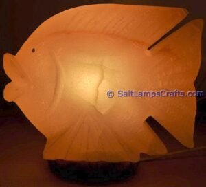himalayanpinkrocksaltfishanimalslampsnightlightdesklampsidetablesaltlampshomeofficedecorsaltlightauthenticpakistan03 Salt Lamps Crafts Manufacture and Exporter