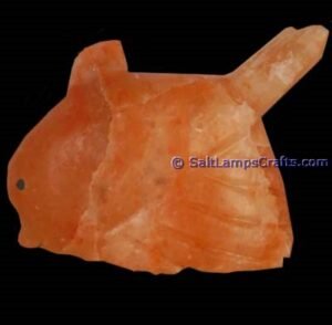 OLYMPUS DIGITAL CAMERA Salt Lamps Crafts Manufacture and Exporter