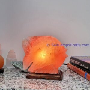 himalayanpinkrocksaltfishanimalslampsnightlightdesklampsidetablesaltlampshomeofficedecorsaltlightauthenticpakistan06 Salt Lamps Crafts Manufacture and Exporter