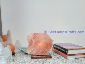 himalayanpinkrocksaltfishanimalslampsnightlightdesklampsidetablesaltlampshomeofficedecorsaltlightauthenticpakistan08 Salt Lamps Crafts Manufacture and Exporter