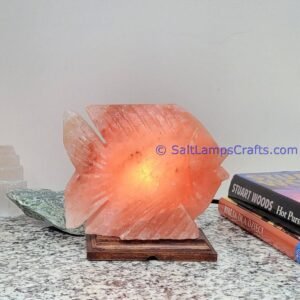himalayanpinkrocksaltfishanimalslampsnightlightdesklampsidetablesaltlampshomeofficedecorsaltlightauthenticpakistan12 Salt Lamps Crafts Manufacture and Exporter
