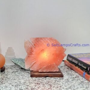 himalayanpinkrocksaltfishanimalslampsnightlightdesklampsidetablesaltlampshomeofficedecorsaltlightauthenticpakistan13 Salt Lamps Crafts Manufacture and Exporter