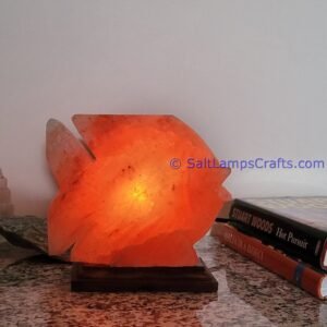himalayanpinkrocksaltfishanimalslampsnightlightdesklampsidetablesaltlampshomeofficedecorsaltlightauthenticpakistan14 Salt Lamps Crafts Manufacture and Exporter