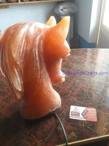 himalayanpinkrocksalthorseanimalslampsnightlightdesklampsidetablesaltlampshomeofficedecorsaltlightauthenticpakistan08 Salt Lamps Crafts Manufacture and Exporter