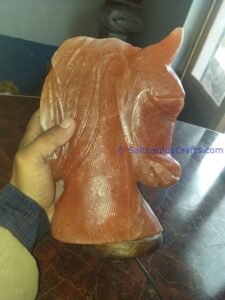 himalayanpinkrocksalthorseheadanimalslampsnightlightdesklampsidetablesaltlampshomeofficedecorsaltlightauthenticpakistan06 Salt Lamps Crafts Manufacture and Exporter