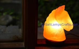 himalayanpinkrocksalthorseheadanimalslampsnightlightdesklampsidetablesaltlampshomeofficedecorsaltlightauthenticpakistan08 Salt Lamps Crafts Manufacture and Exporter