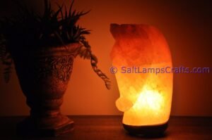 himalayanpinkrocksalthorseheadanimalslampsnightlightdesklampsidetablesaltlampshomeofficedecorsaltlightauthenticpakistan09 Salt Lamps Crafts Manufacture and Exporter