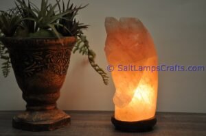 himalayanpinkrocksalthorseheadanimalslampsnightlightdesklampsidetablesaltlampshomeofficedecorsaltlightauthenticpakistan10 Salt Lamps Crafts Manufacture and Exporter
