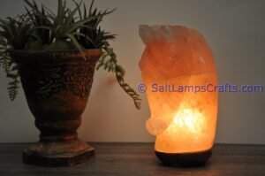 himalayanpinkrocksalthorseheadanimalslampsnightlightdesklampsidetablesaltlampshomeofficedecorsaltlightauthenticpakistan11 Salt Lamps Crafts Manufacture and Exporter