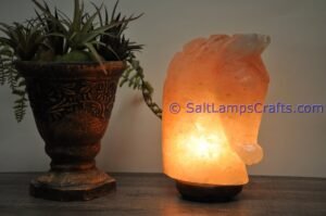 himalayanpinkrocksalthorseheadanimalslampsnightlightdesklampsidetablesaltlampshomeofficedecorsaltlightauthenticpakistan12 Salt Lamps Crafts Manufacture and Exporter