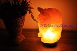 himalayanpinkrocksalthorseheadanimalslampsnightlightdesklampsidetablesaltlampshomeofficedecorsaltlightauthenticpakistan13 Salt Lamps Crafts Manufacture and Exporter