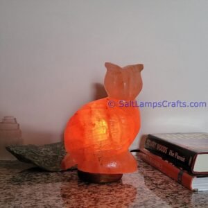 himalayanpinkrocksaltowlanimalslampsnightlightdesklampsidetablesaltlampshomeofficedecorsaltlightauthenticpakistan03 Salt Lamps Crafts Manufacture and Exporter