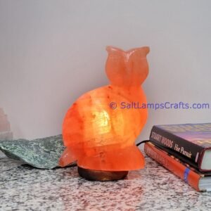 himalayanpinkrocksaltowlanimalslampsnightlightdesklampsidetablesaltlampshomeofficedecorsaltlightauthenticpakistan05 Salt Lamps Crafts Manufacture and Exporter