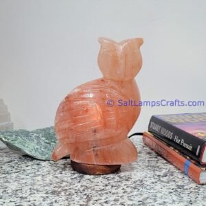 himalayanpinkrocksaltowlanimalslampsnightlightdesklampsidetablesaltlampshomeofficedecorsaltlightauthenticpakistan07 Salt Lamps Crafts Manufacture and Exporter