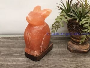 himalayanpinkrocksaltrabbitanimalslampsnightlightdesklampsidetablesaltlampshomeofficedecorsaltlightauthenticpakistan02 Salt Lamps Crafts Manufacture and Exporter